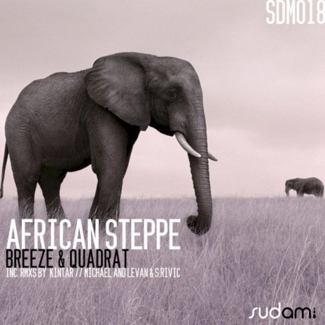 African Steppe (Kintar Remix) | Boomplay Music