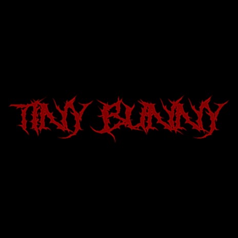 Tiny Bunny | Boomplay Music