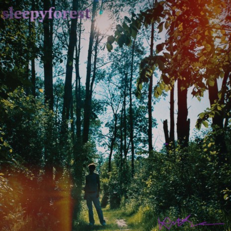 Goodmorning, sleepyforest (Conclusion) | Boomplay Music