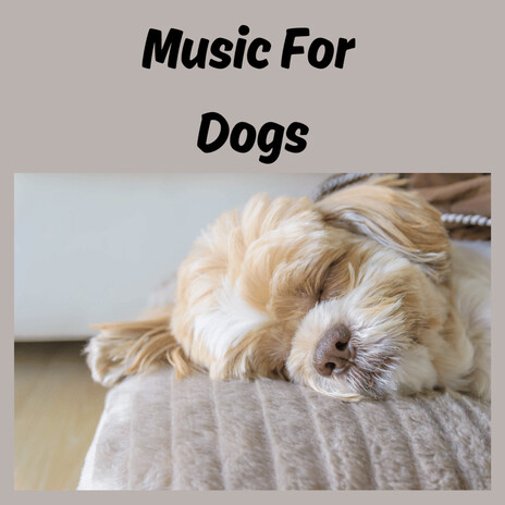 Puppy Nap ft. Music For Dogs Peace, Relaxing Puppy Music & Calm Pets Music Academy