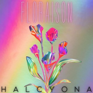 Halcyona