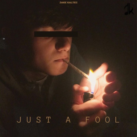 Just A Fool | Boomplay Music