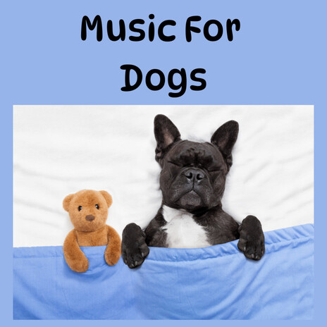Soft Music For Dogs ft. Music For Dogs Peace, Relaxing Puppy Music & Calm Pets Music Academy