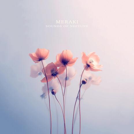 Meraki | Boomplay Music