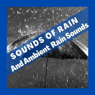 Sounds of Rain and Ambient Rain Sounds - Ambient Nature - Rainforest Vibes