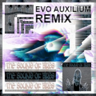 The Sound Of Birds (Evo Auxilium Remix)