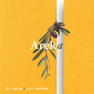 Areka ft. Tariro NeGitare lyrics | Boomplay Music