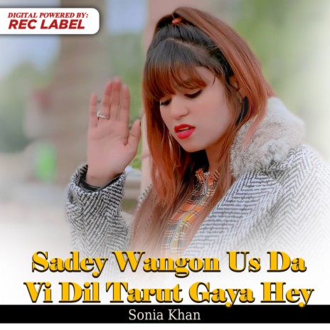 Sadey Wangon Us Da Vi Dil Tarut Gaya Hey | Boomplay Music