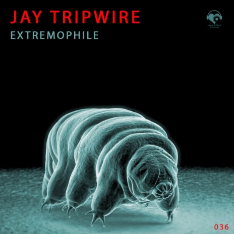 Extremophile (Jay Tripwire remix) | Boomplay Music