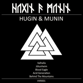 Hugin & Munin