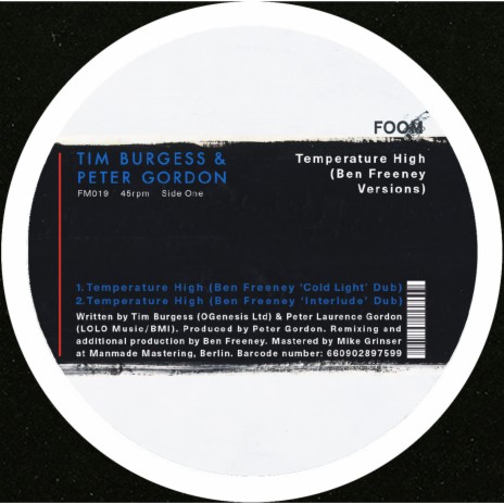 Temperature High (Benjamin Freeney Cold Light Dub) ft. Peter Gordon | Boomplay Music