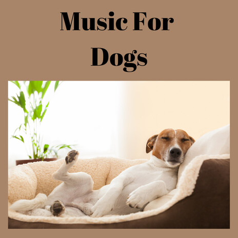 Relaxing Space ft. Music For Dogs Peace, Relaxing Puppy Music & Calm Pets Music Academy