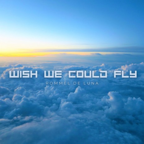 Wish We Could Fly | Boomplay Music