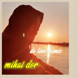 De tine, nimic lyrics | Boomplay Music