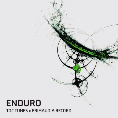 Enduro (Radio Edit) ft. Primaudia Record | Boomplay Music