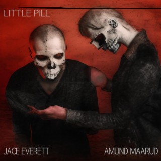 Little Pill ft. Amund Maarud lyrics | Boomplay Music