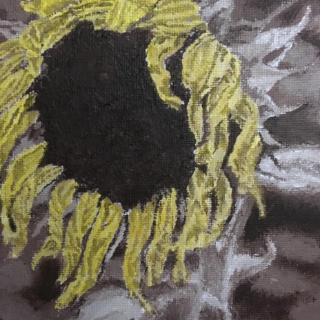 Chatriona's Sunflower
