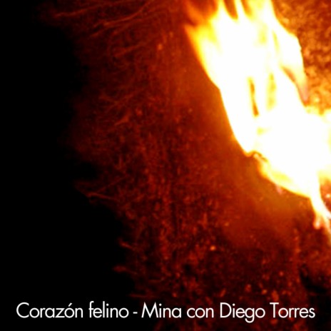 Corazon felino ft. Diego Torres | Boomplay Music
