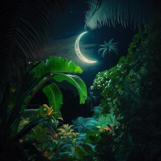 Tropical Night