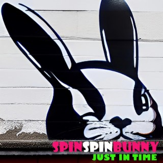 SpinSpinBunny