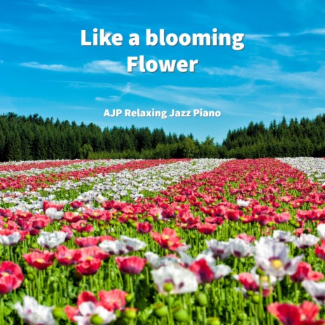 Like a Blooming Flower | Boomplay Music