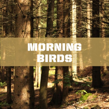 Morning Bird