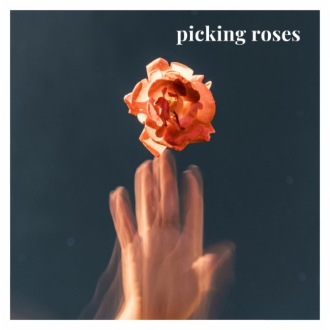 Picking Roses | Boomplay Music