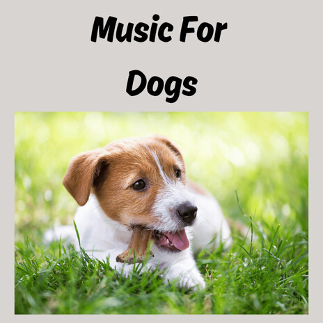 Furry Serenity ft. Music For Dogs Peace, Relaxing Puppy Music & Calm Pets Music Academy