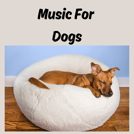 Background Dog Music ft. Music For Dogs Peace, Relaxing Puppy Music & Calm Pets Music Academy