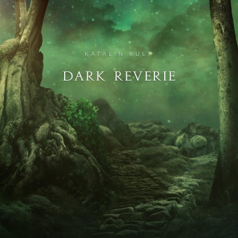 Dark Reverie | Boomplay Music