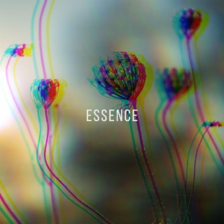 Essence