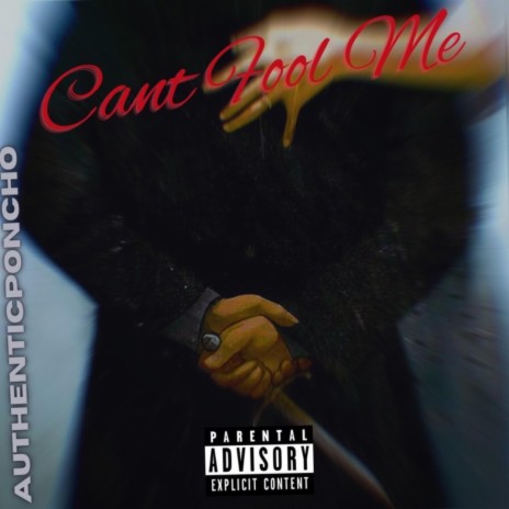 Cant Fool Me | Boomplay Music