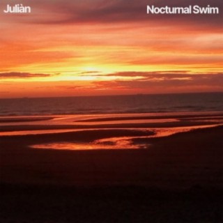 Nocturnal Swim