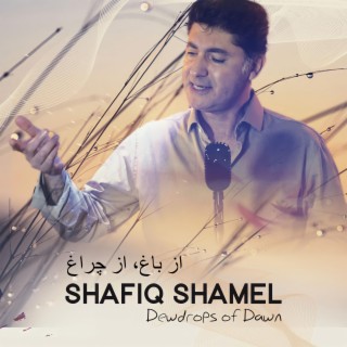Shafiq Shamel