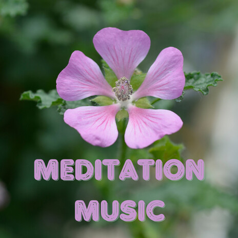 Gentle Solace ft. Meditation Music, Meditation Music Tracks & Balanced Mindful Meditations