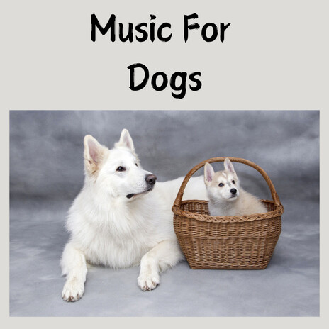 Floating on a Cloud ft. Music For Dogs Peace, Relaxing Puppy Music & Calm Pets Music Academy