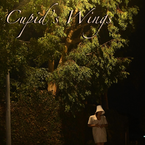 Cupid's Wings | Boomplay Music