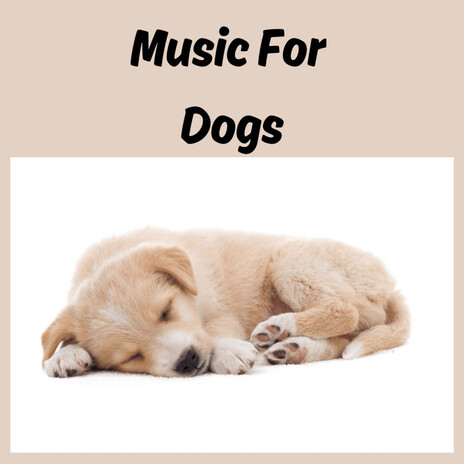 Puppy Lullaby ft. Music For Dogs Peace, Relaxing Puppy Music & Calm Pets Music Academy