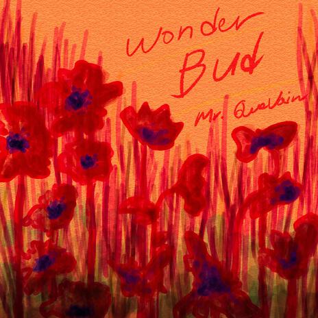 Wonder Bud | Boomplay Music