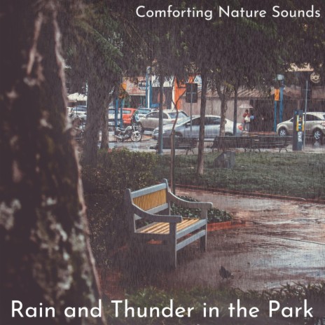 Relaxing Rainfall and Thunder | Boomplay Music