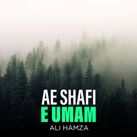 Ae Shafi E Umam | Boomplay Music