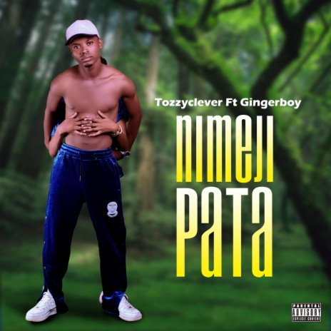 Nimejipata (feat. Ginger boy tz) | Boomplay Music