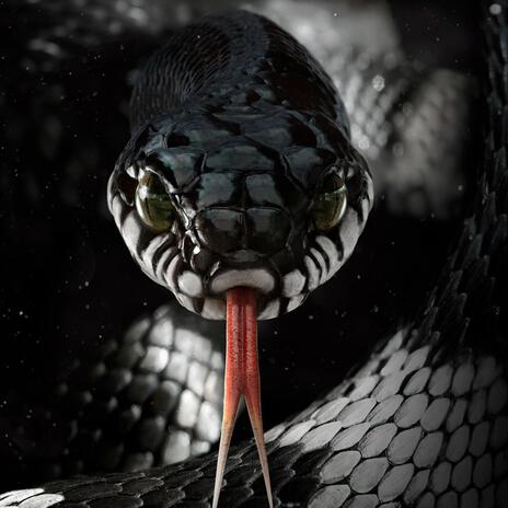 Snake king