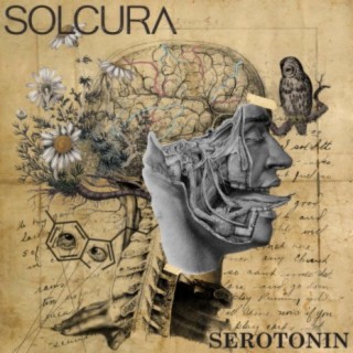 Serotonin