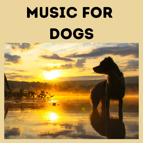 Background Dog Music ft. Music For Dogs Peace, Relaxing Puppy Music & Calm Pets Music Academy