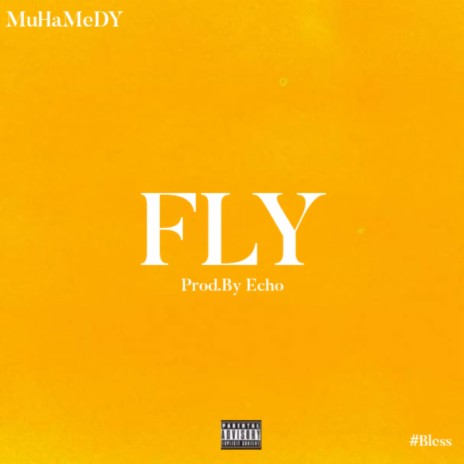 Fly | Boomplay Music