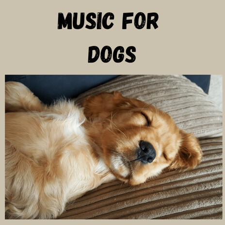 Dreamy Paws ft. Music For Dogs Peace, Relaxing Puppy Music & Calm Pets Music Academy