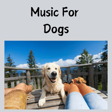 Meditation Dog Music ft. Music For Dogs Peace, Relaxing Puppy Music & Calm Pets Music Academy