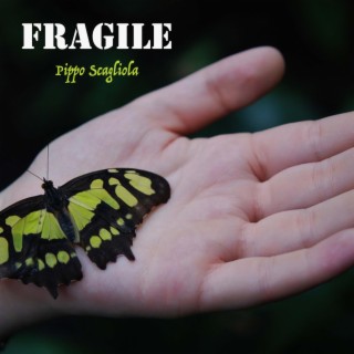 Fragile