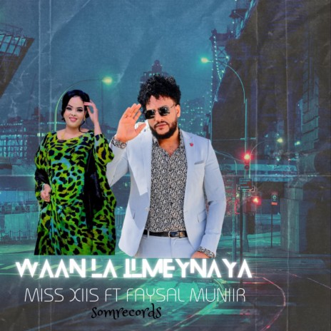 waan la ilmeynaya ft. Faysal Munir | Boomplay Music